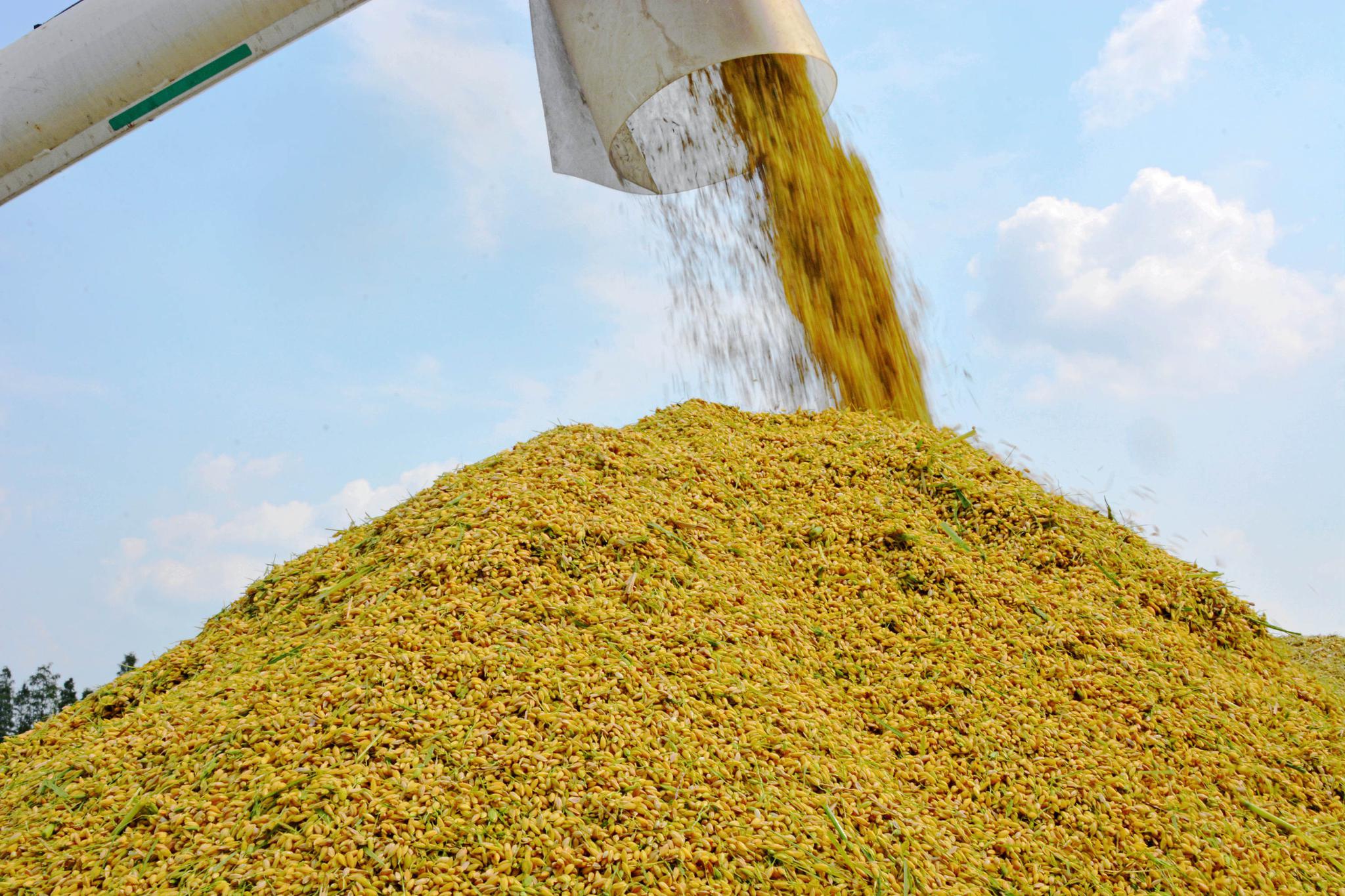 丰收的田野谨以此片告慰袁老一路走好