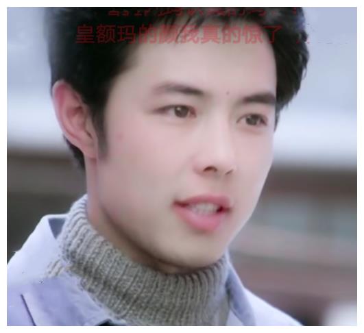 男明星年轻时候的颜值,严屹宽惊艳,焦恩俊男神,张铁林没想到!