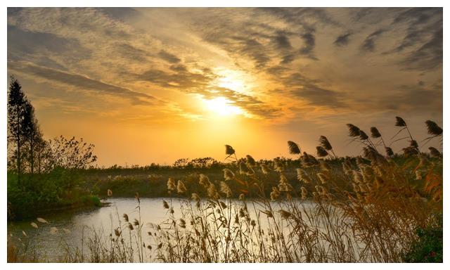 6月24日到7月21日，四大星座喜从天降，挥金如土，幸福来共同放心休闲区蓝鸢梦想 - Www.slyday.coM