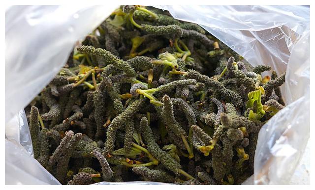 自从学会此招储存楮树花,我家每年摘30斤,一年都能吃到新鲜的花