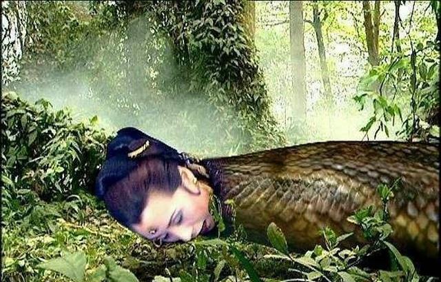 细数西游记里的7大女妖王有背景的都被带走没背景的全被杀了