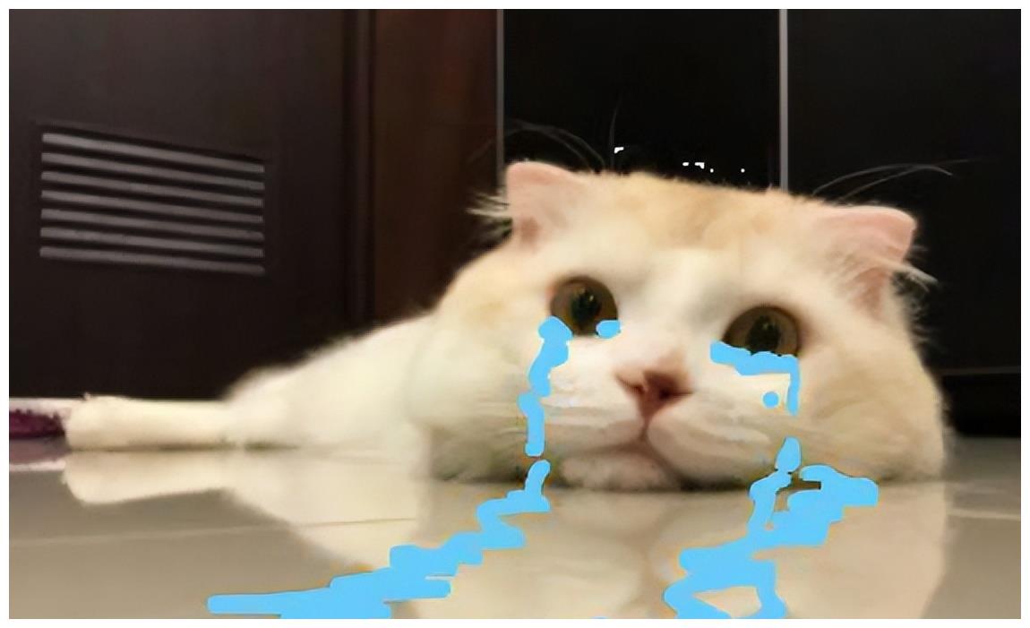 最让人“意难平”的8对荧幕cp，人人都想让他们在一起，就1对成了休闲区蓝鸢梦想 - Www.slyday.coM