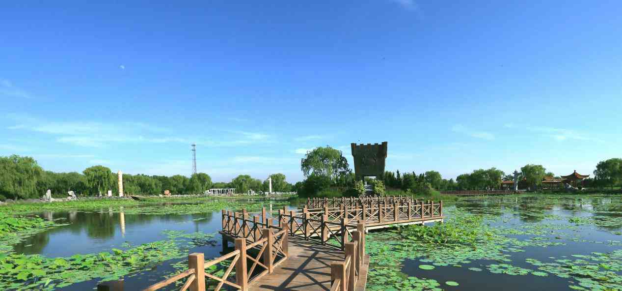 东营小众景区游玩项目多景色秀美令人舒心但名气很小人又少