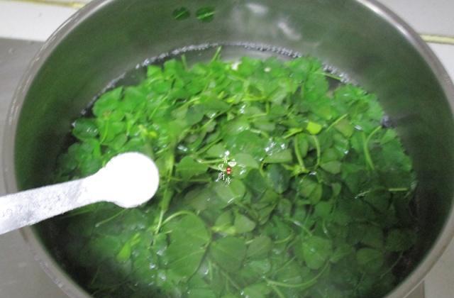 作者 生活便捷知道 缩小字体 放大字体 收藏 微博 微信 分享 草头饼