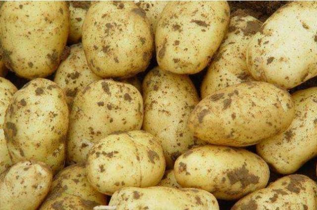 土豆新吃法,大厨教您在家自制"风琴土豆",简单易做还好吃!