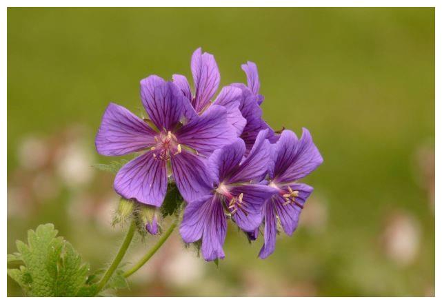 6月12日 18日星座运势 日久生情 余生美满的四大星座 星座 运势 感情 新浪新闻