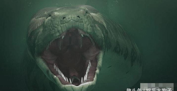 这就是史前最大的巨蟒,网友:此乃蛟龙