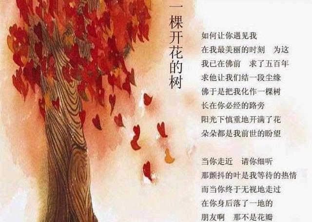 作者在生命现场遇见了一棵开花的树,在替它发声.