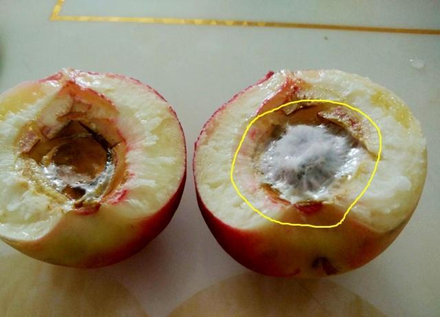 坑到想打人的水果桃子切开才知道发霉西瓜和橙子更坑人