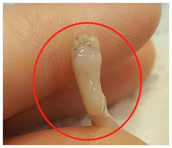 听到这个消息以后,这位孕妇在急诊室里放声大哭,乞求医生救回自己的