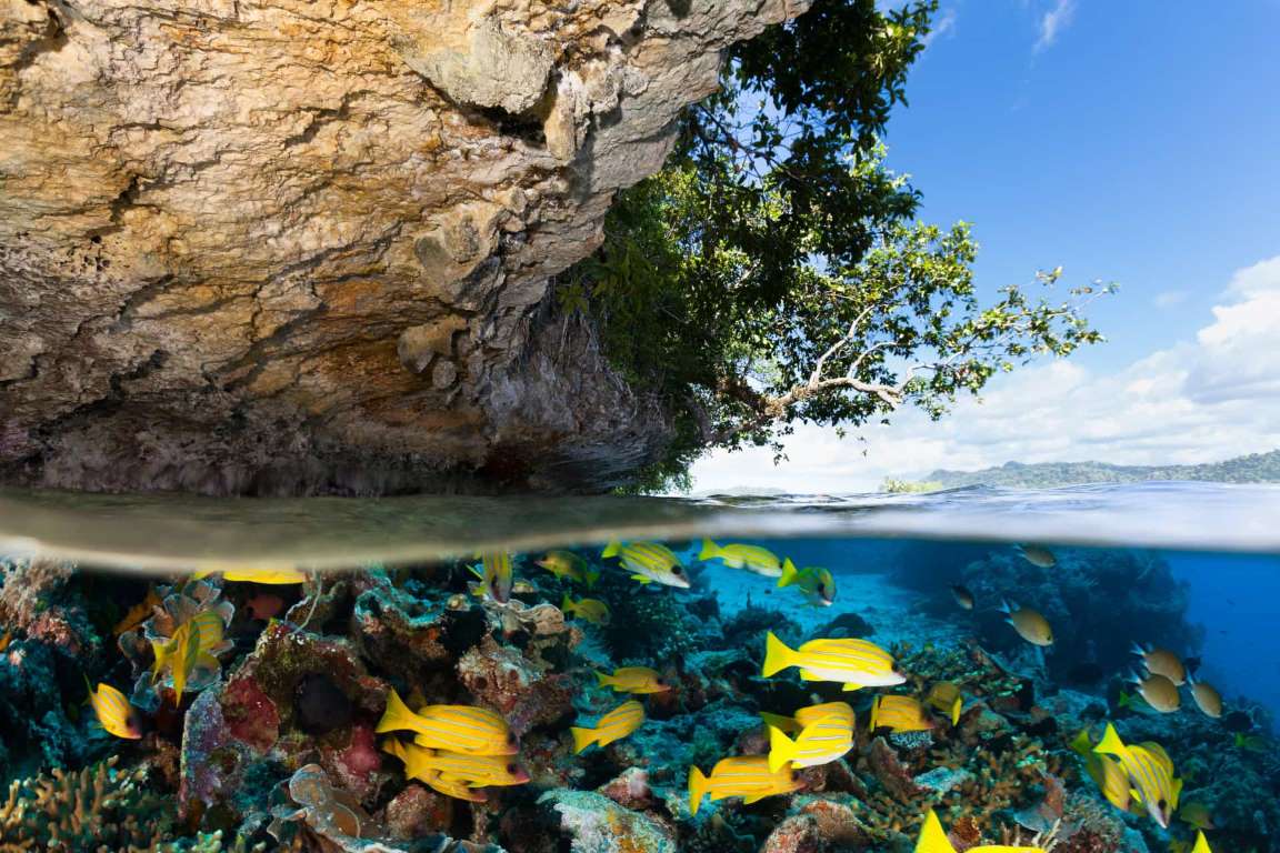 旅行看世界:盘点全球10处色彩最丰富的珊瑚礁,美景令人沉醉!