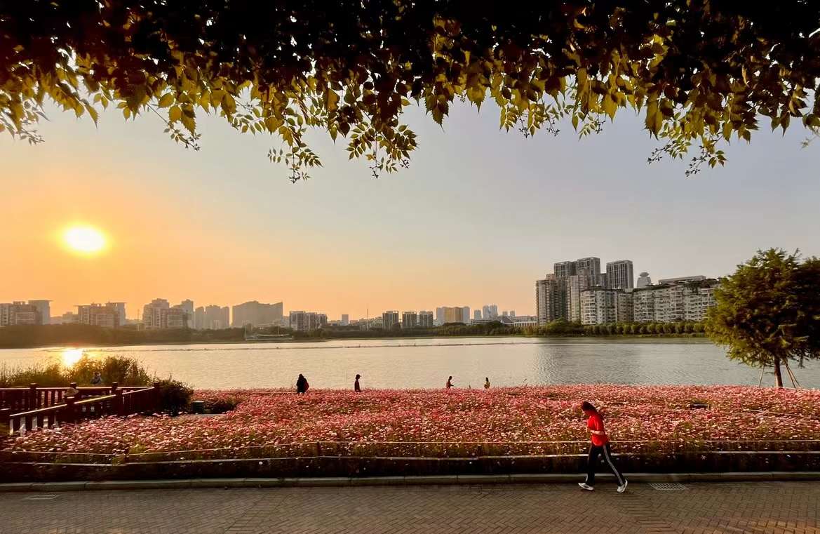 一抹夕陽一片花海(武漢南湖幸福灣水上公園)__財經頭條