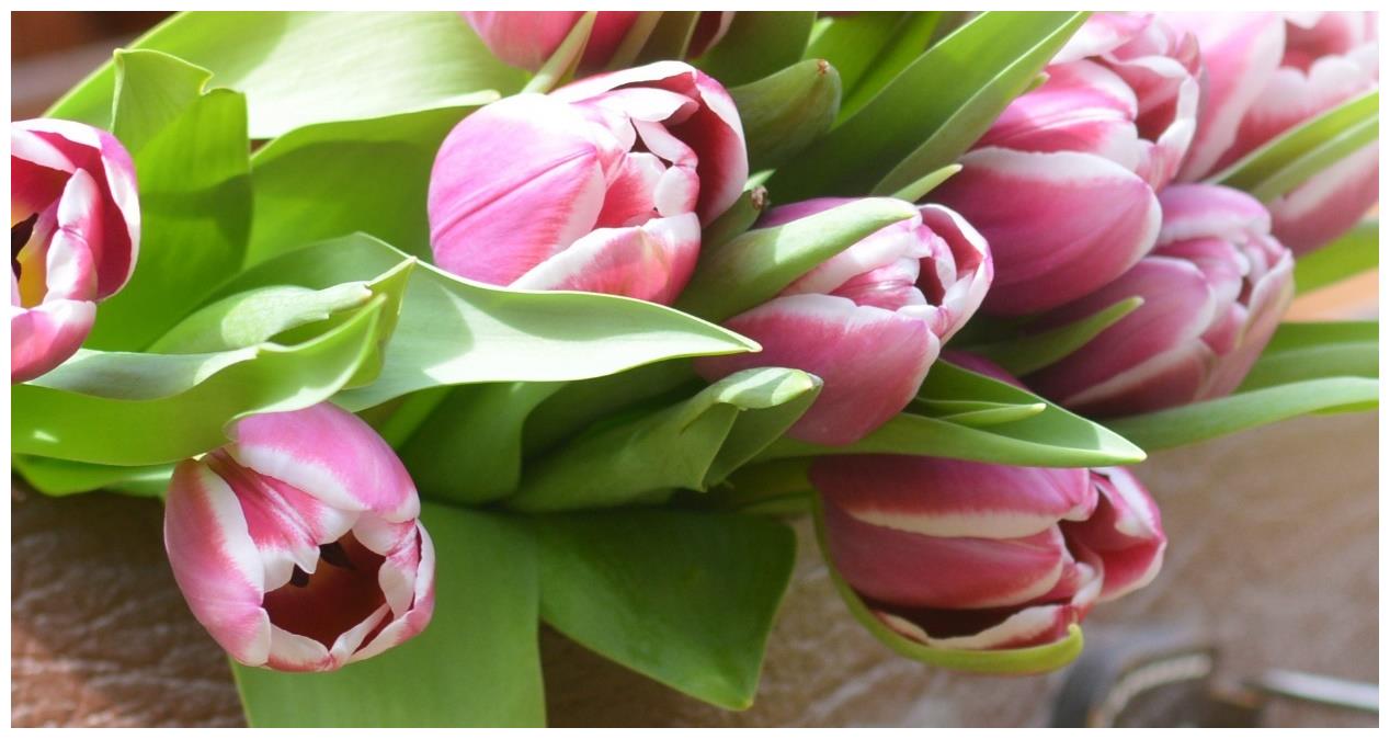 今后1月,四大星座桃花灿烂朵朵开,事业迎来高峰,收入节节高升休闲区蓝鸢梦想 - Www.slyday.coM 今后1月,四大星座桃花灿烂朵朵开,事业迎来高峰,收入节节高升休闲区蓝鸢梦想 - Www.slyday.coM