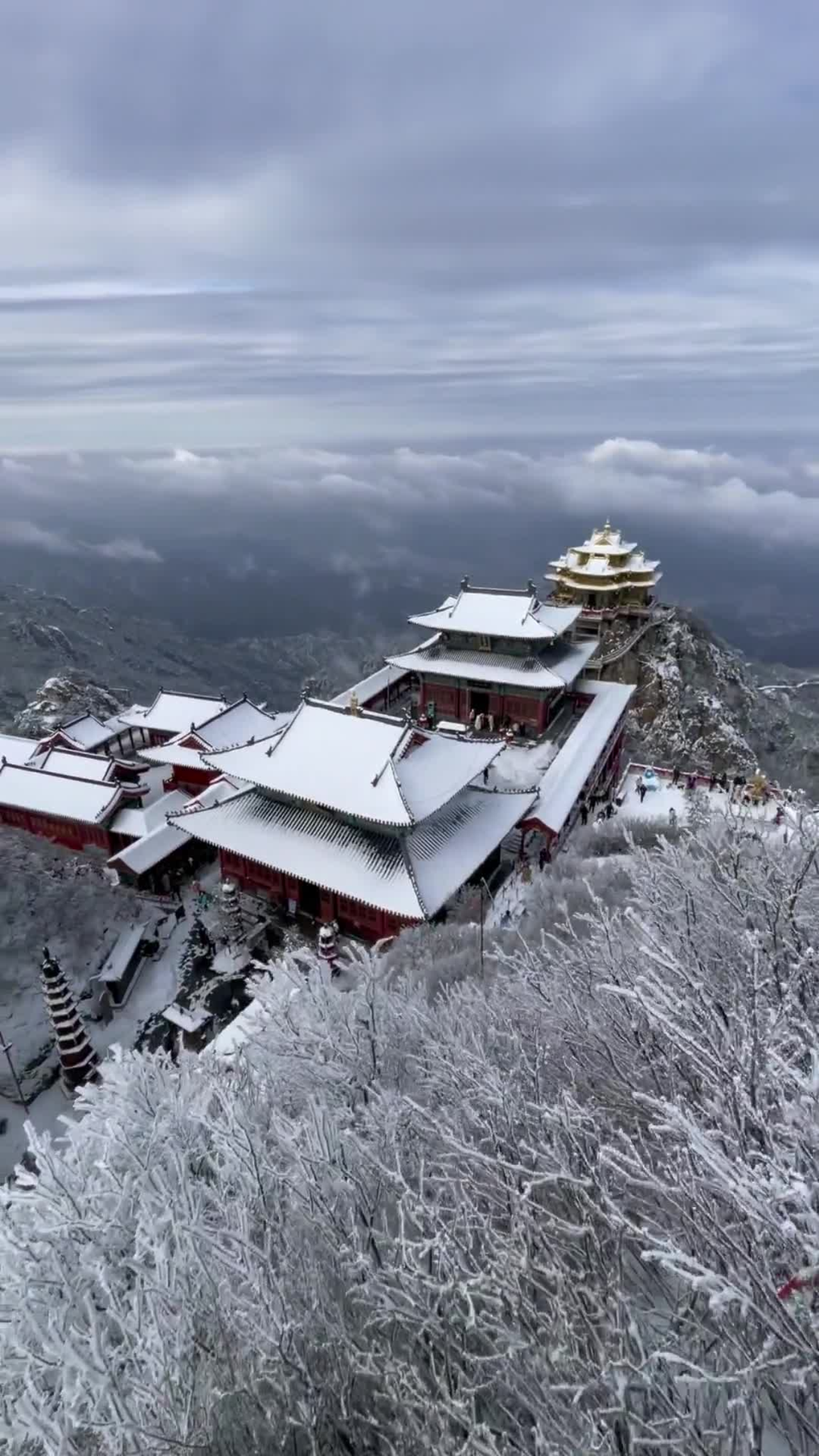 请记住一个真理，无论对谁太过热情，就增加了不被珍惜概率