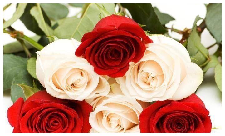 5月起,事业运势旺盛,翻身成富人,全家幸福快乐的几个生肖休闲区蓝鸢梦想 - Www.slyday.coM 5月起,事业运势旺盛,翻身成富人,全家幸福快乐的几个生肖休闲区蓝鸢梦想 - Www.slyday.coM