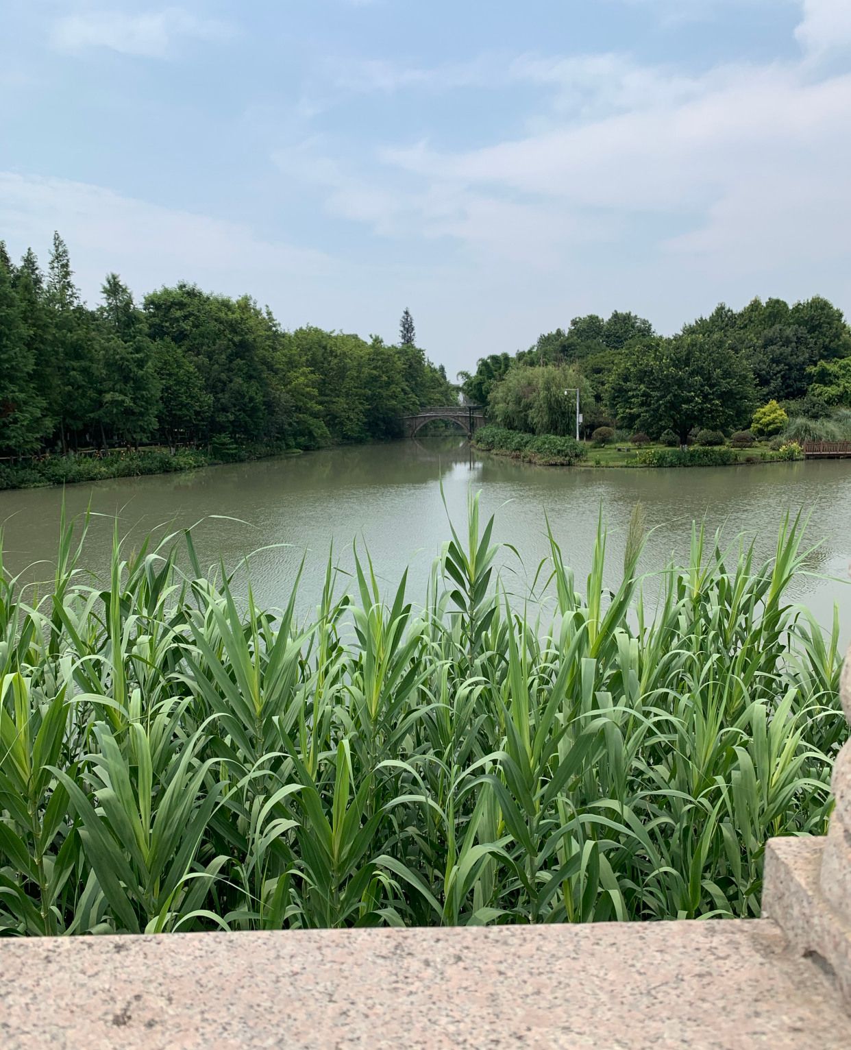 夏日炎炎,水灵瓯海