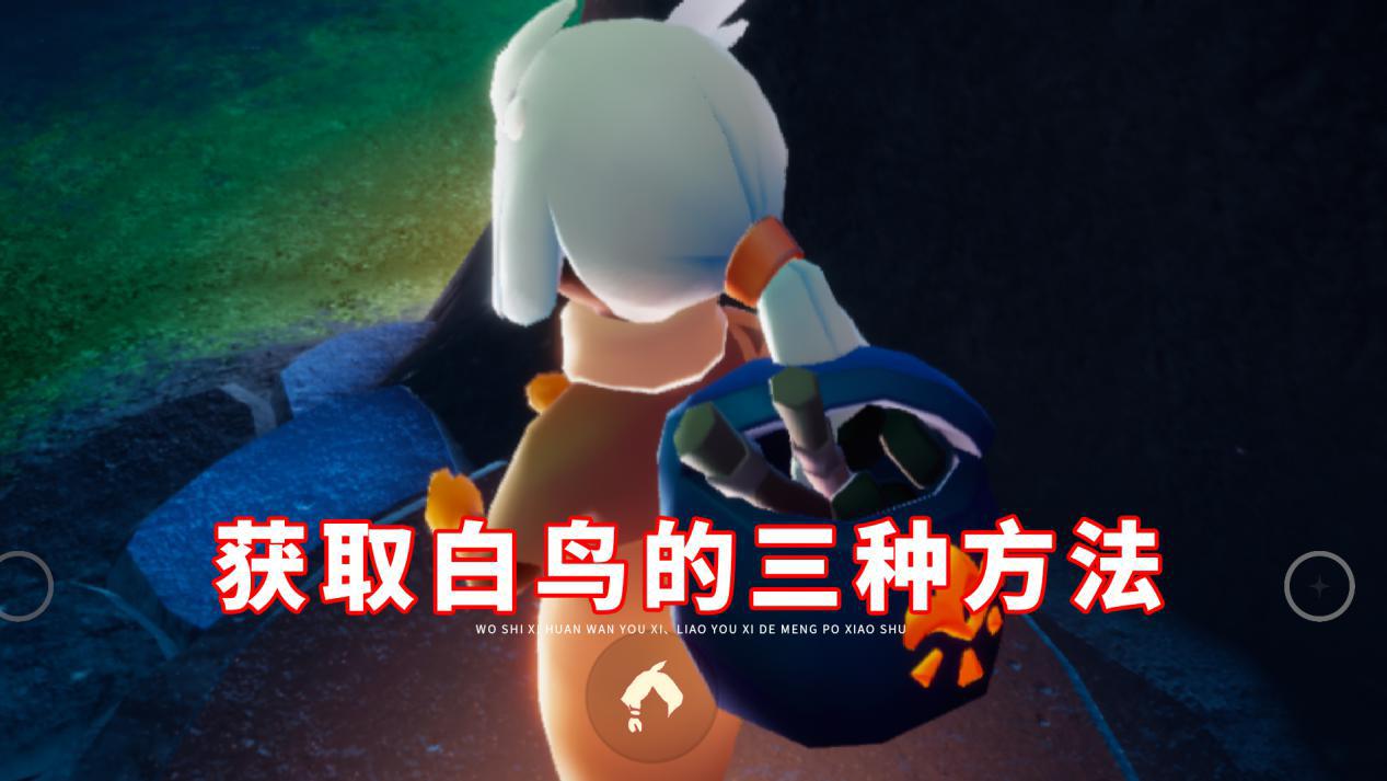 光遇获得白鸟的三种方式氪金买账号代价大另外两种被鄙视