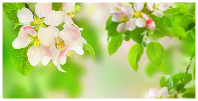 3月 日起 这3大星座的人有月老牵线 喜上眉梢 收获爱情 3月 日起 这3大星座的人有月老牵线 喜上眉梢 收获爱情