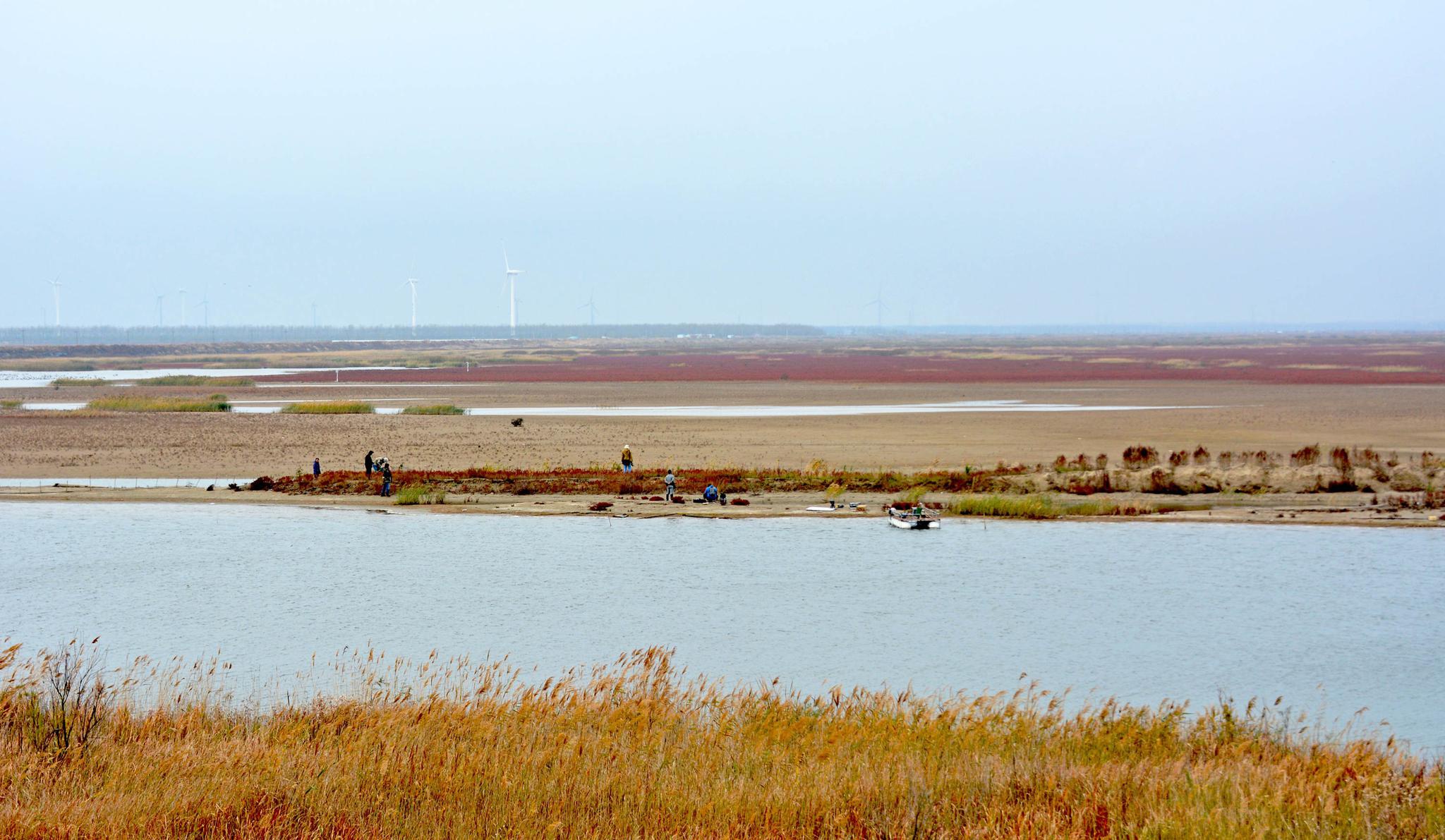 秋行条子泥,江苏盐城东台弶港条子泥景区.