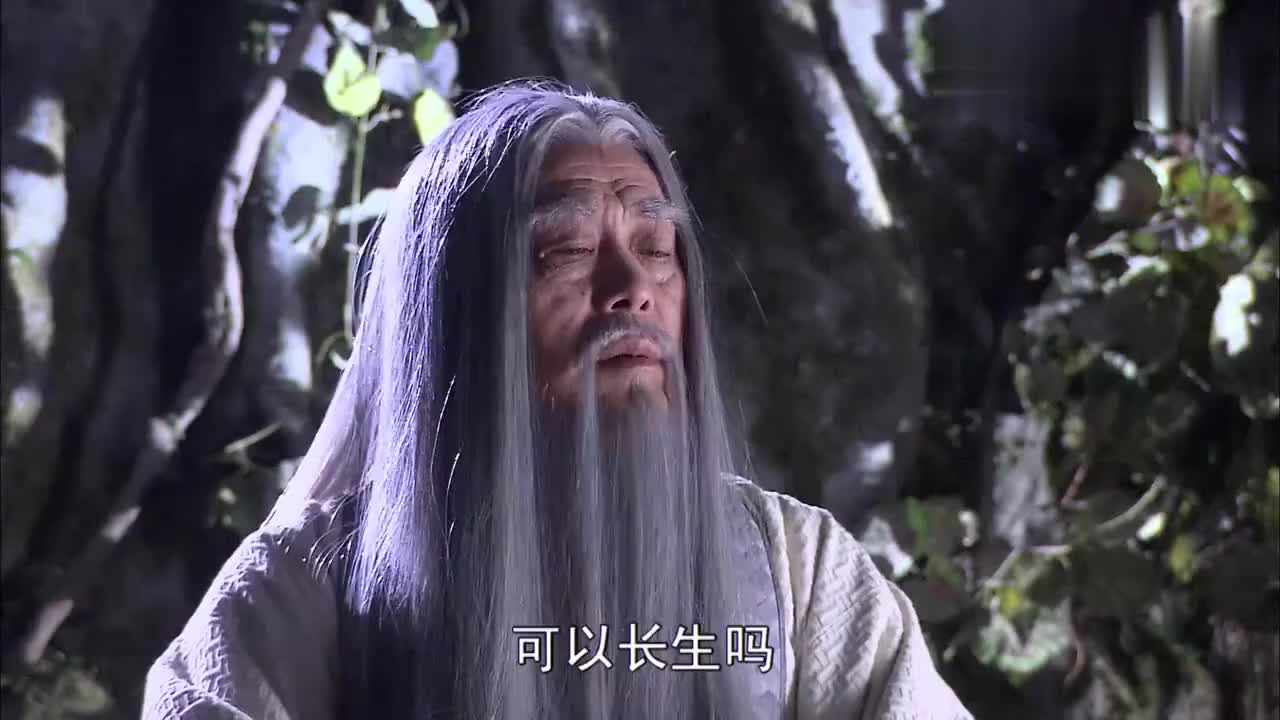 西游记猢狲天生聪慧菩提祖师白天暗示他全部秒懂