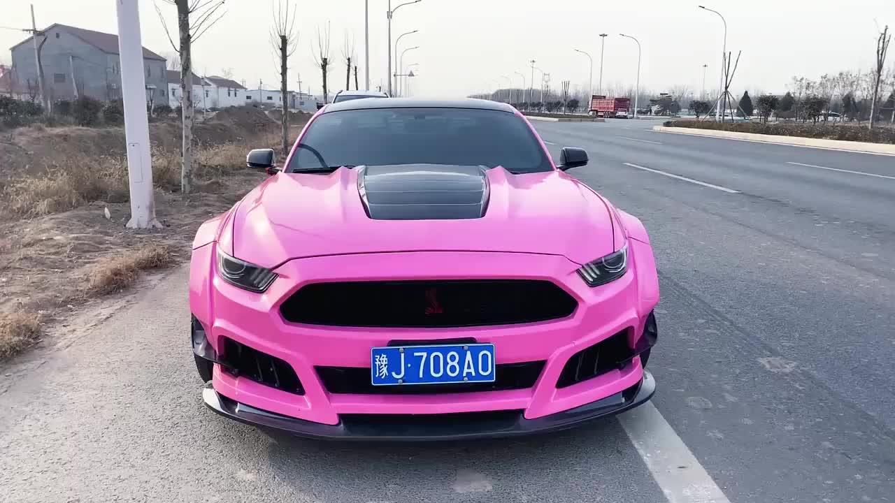 路遇一台粉色爆改宽体野马!