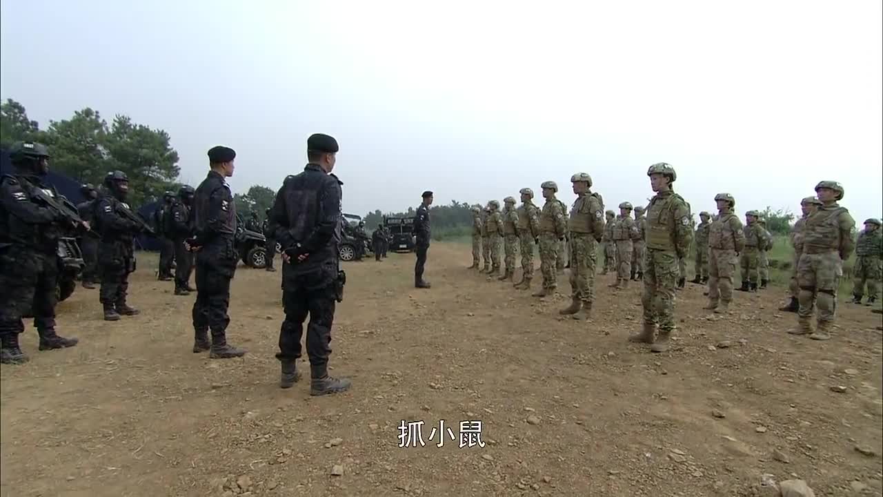 特警进行考核演习,没想到竟是场猫抓老鼠的比赛,这下好玩了