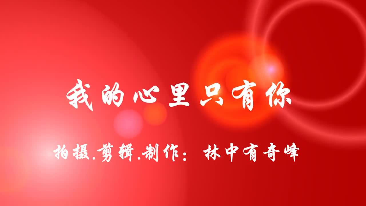 一首歌曲《我的心里只有你》好听