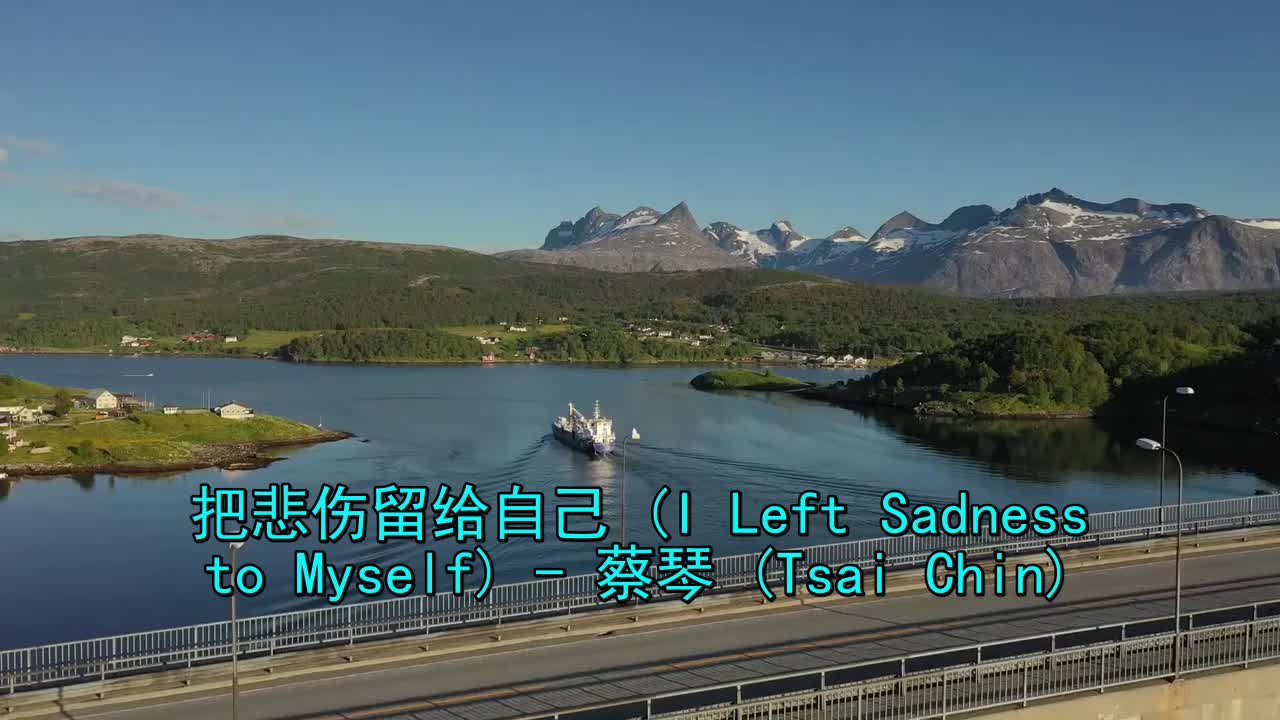 推荐一首《蔡琴-把悲伤留给自己》特别好看,赞