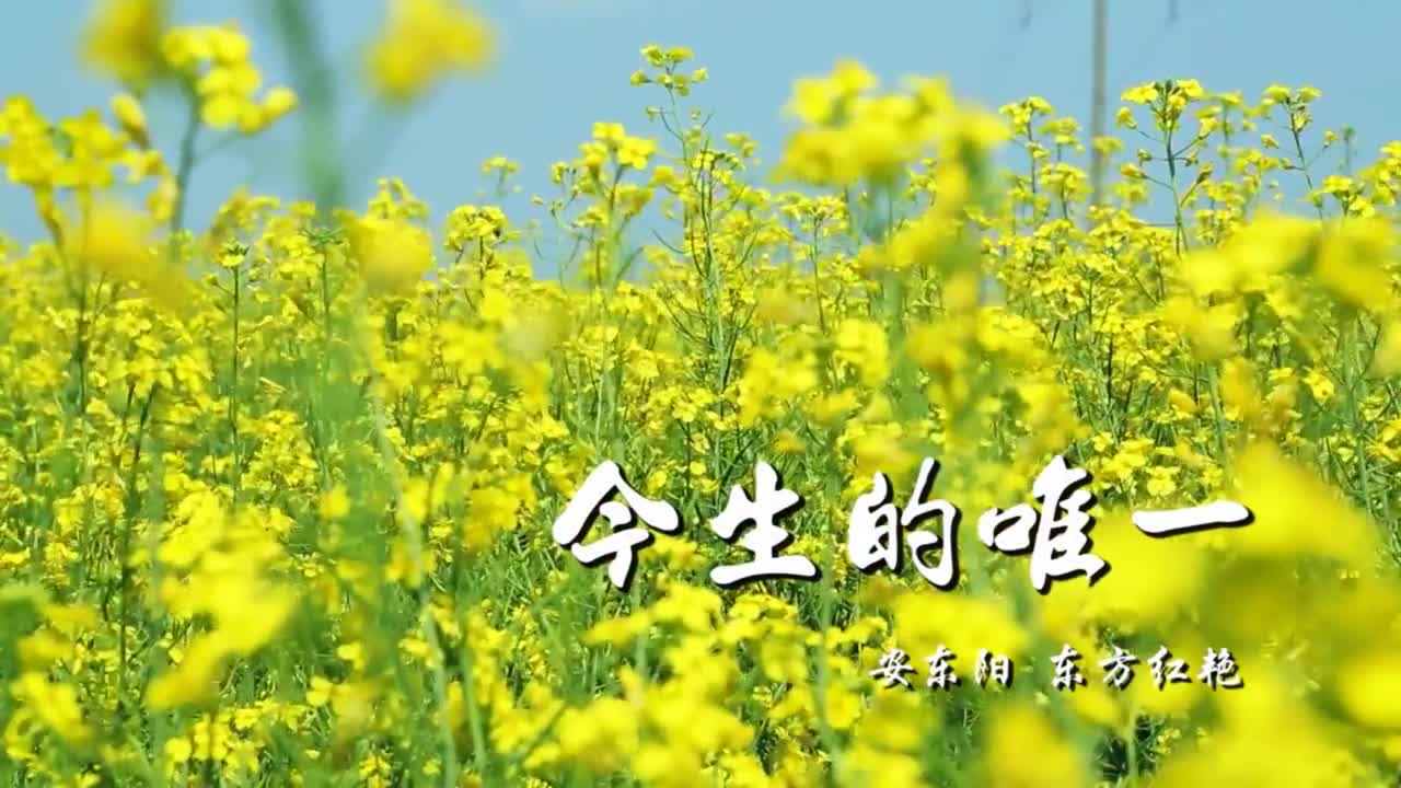 非常抒情唯美的情歌《今生的唯一》笛子吹奏,超级好听!