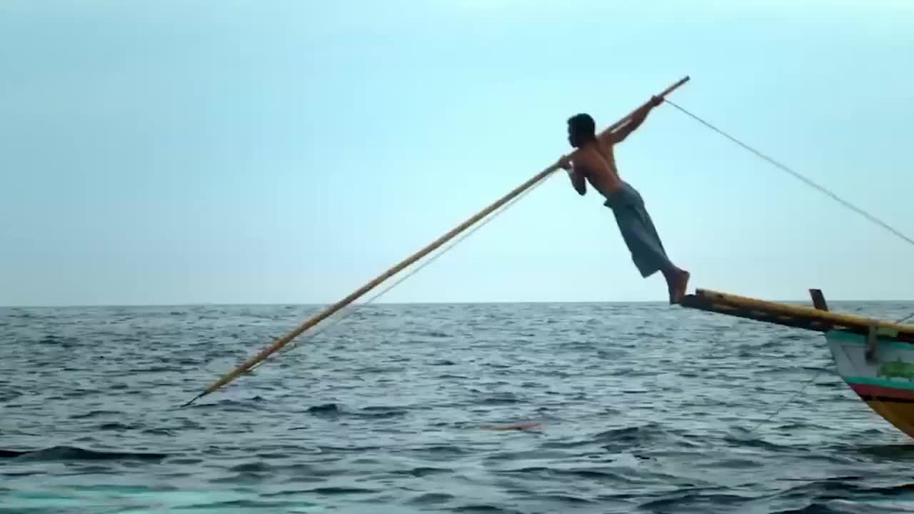最后的传统"捕鲸人",鱼叉挑战抹香鲸_新浪新闻