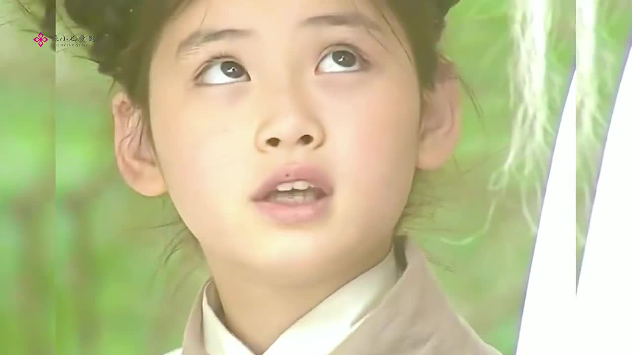 白眉鹰王亲自上武当为女儿殷素素讨公道不料正巧被张三丰碰上