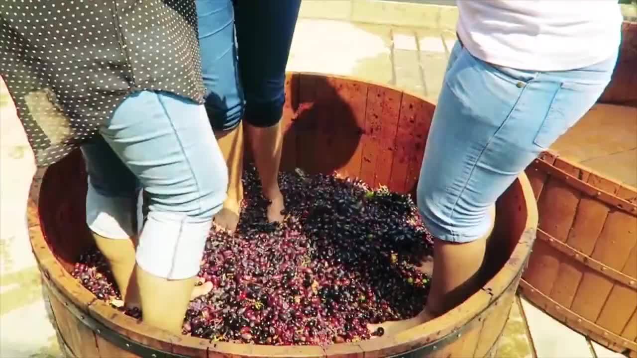最顶级的葡萄酒竟是用脚踩出来的看了你还敢喝吗