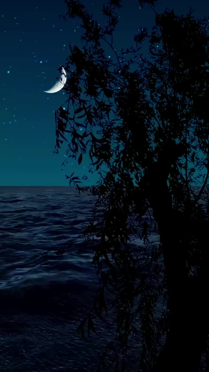 凉风,好夜月如初,星如故晚风吹过人间树吹落相思无数!