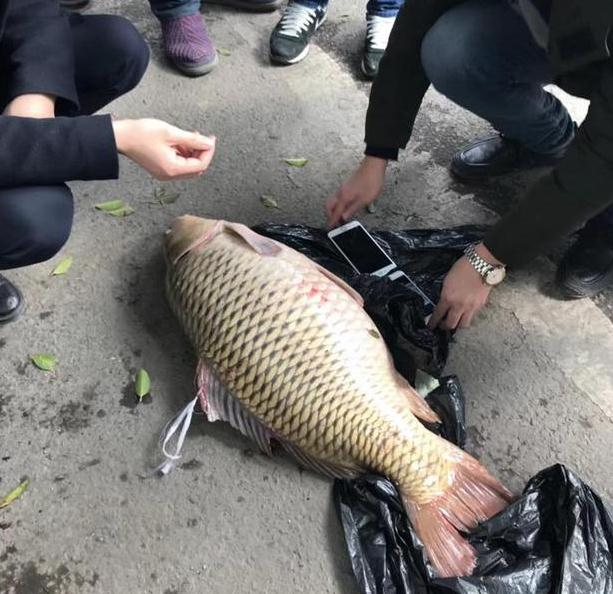 男子在河里钓上来一条32斤大鲤鱼,刚上岸就被人用巨款买走!