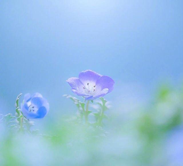 发朋友圈早安的心情句子温暖舒心越读越喜欢