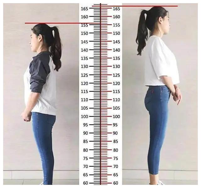 广东人最矮吗?中国各省人身高排行榜|身高|排行榜|广东人_新浪新闻