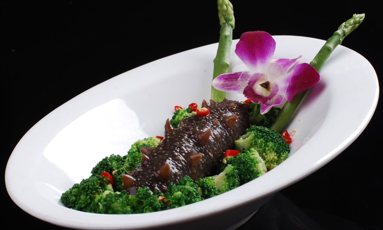 美食图片欣赏——滋补辽参04_高清图集_新浪网