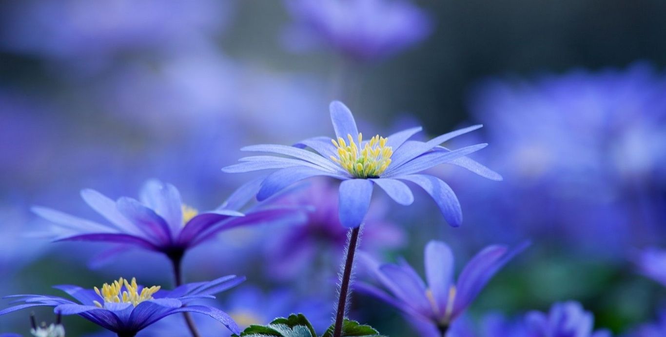 图集:分享一组唯美的风景壁纸