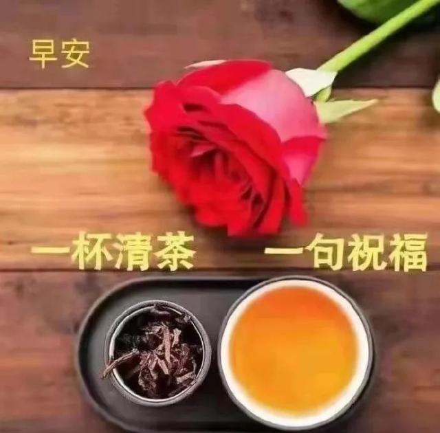 清晨最美的早上好問候漂亮鮮花表情圖片祝大家天天好心情