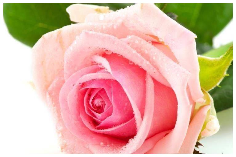 5月起,事业运势旺盛,翻身成富人,全家幸福快乐的几个生肖休闲区蓝鸢梦想 - Www.slyday.coM 5月起,事业运势旺盛,翻身成富人,全家幸福快乐的几个生肖休闲区蓝鸢梦想 - Www.slyday.coM