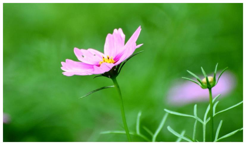 8月,工作欣欣向荣的星座,不要轻易妥协,有望收获丰富休闲区蓝鸢梦想 - Www.slyday.coM 8月,工作欣欣向荣的星座,不要轻易妥协,有望收获丰富休闲区蓝鸢梦想 - Www.slyday.coM