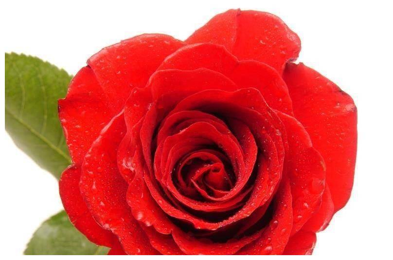 5月起,事业运势旺盛,翻身成富人,全家幸福快乐的几个生肖休闲区蓝鸢梦想 - Www.slyday.coM 5月起,事业运势旺盛,翻身成富人,全家幸福快乐的几个生肖休闲区蓝鸢梦想 - Www.slyday.coM