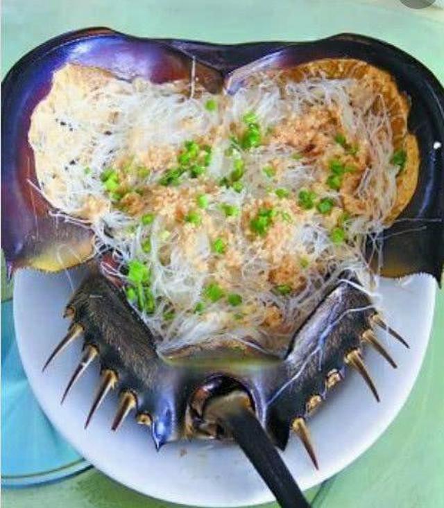 活了4亿年之久的生物耗走了恐龙却败给了吃货|鲎|吃货|恐龙_新浪新闻