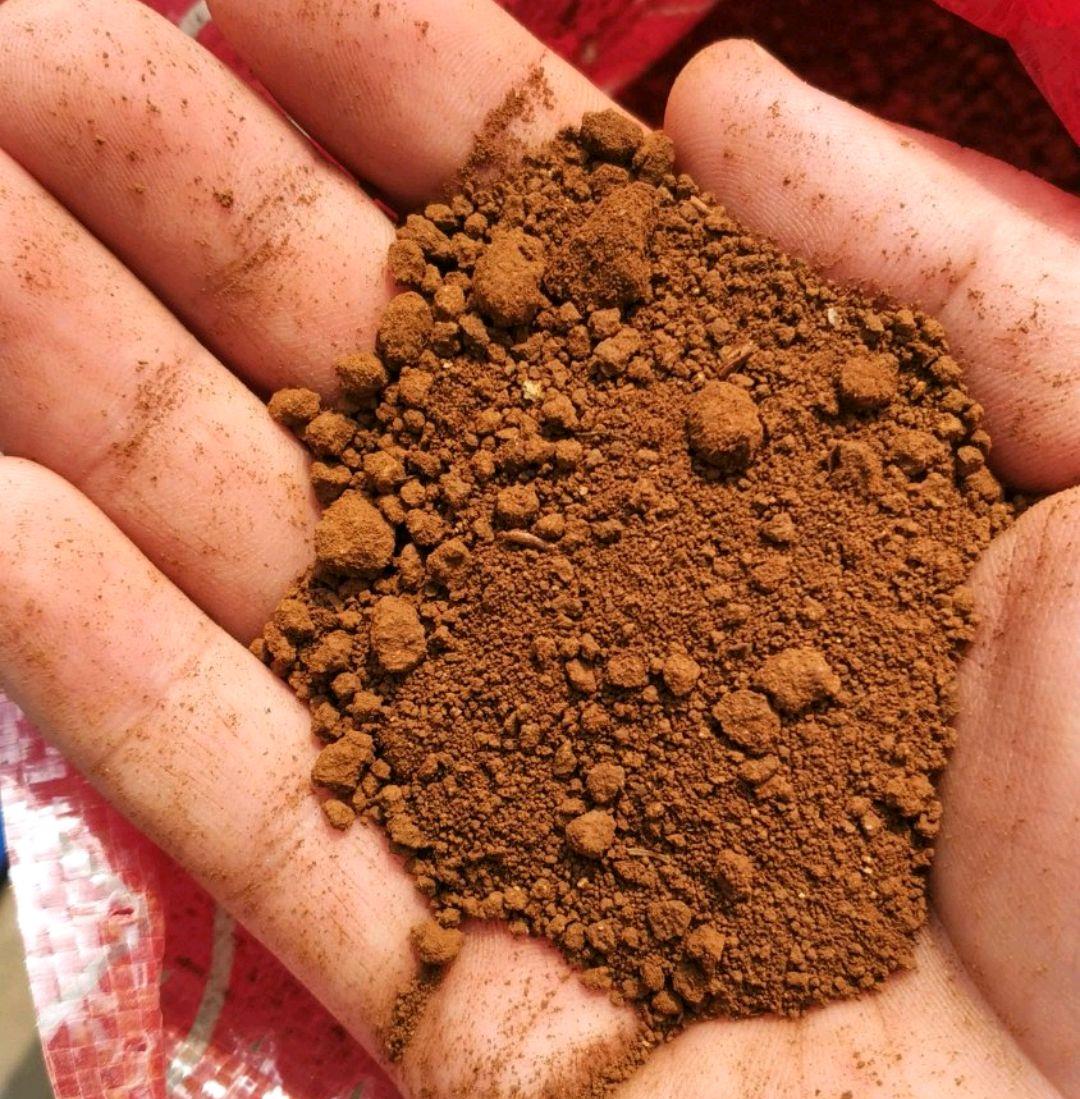 茶花根系板结透气太差,山上挖的黄泥沙土可以用来种茶花吗?