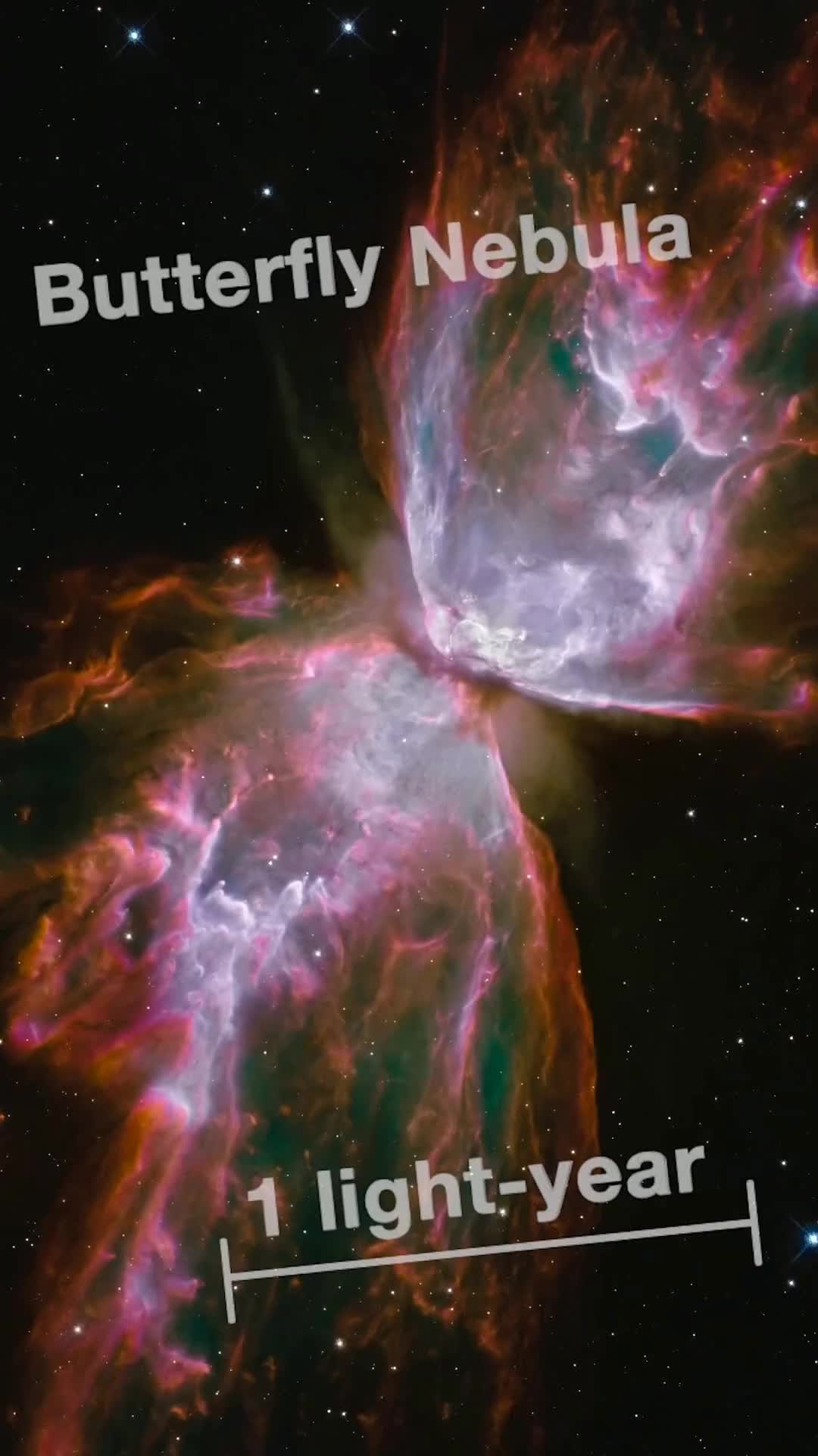 哈勃耀眼的蝴蝶星云