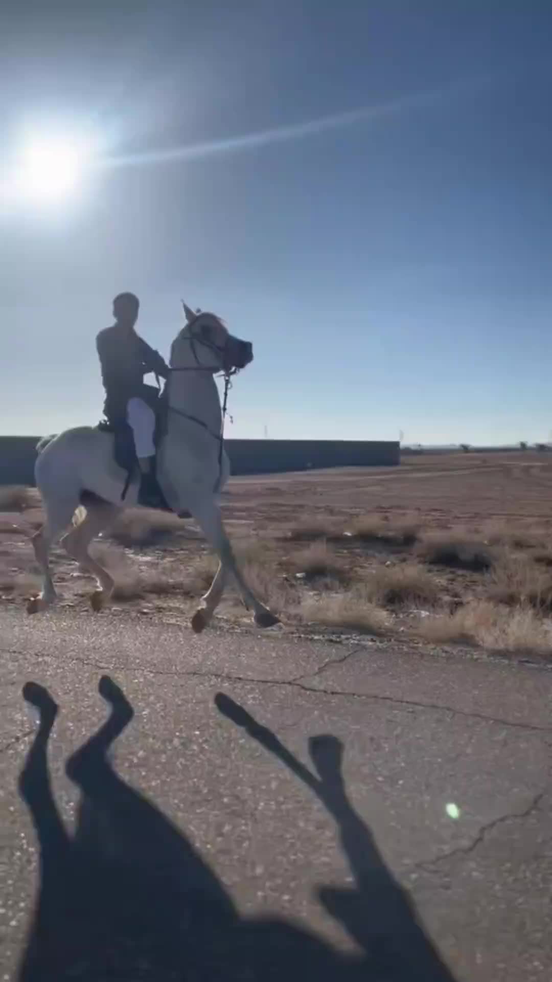 这宝马减震坏了得修啊