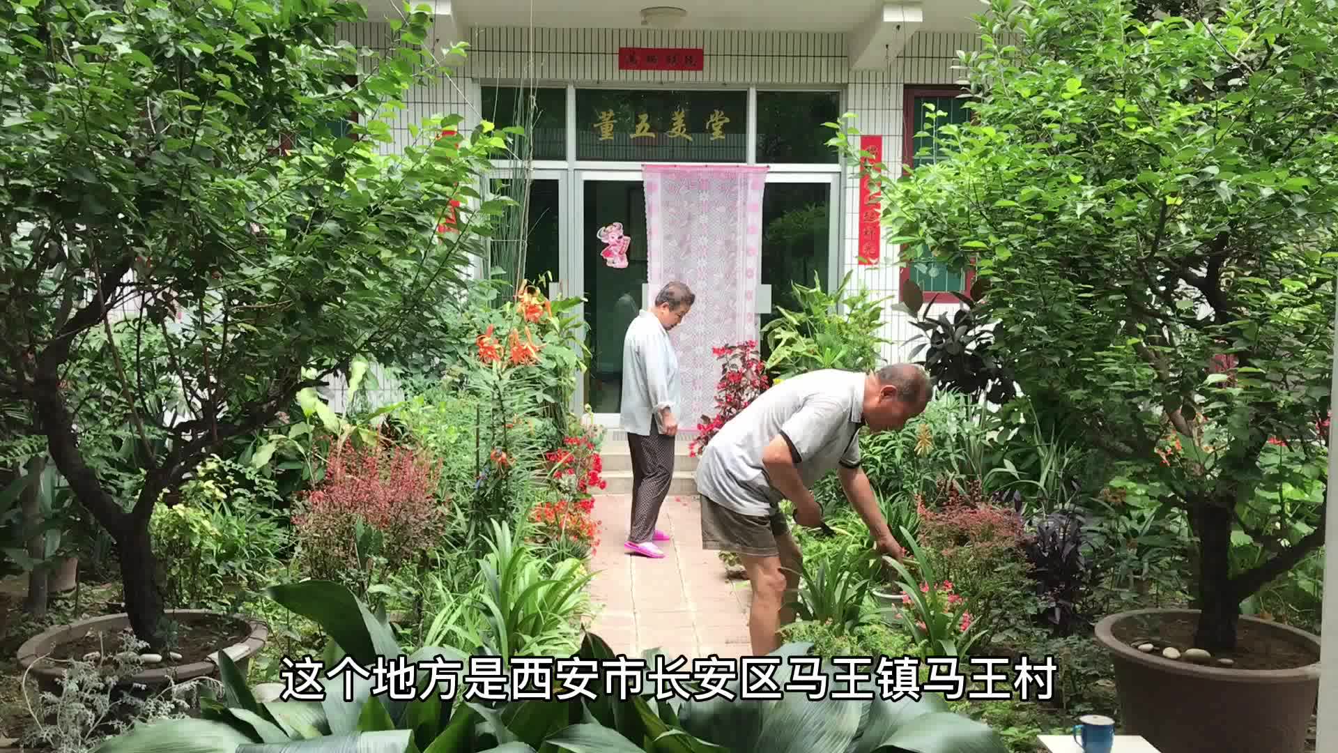 西安七旬夫妻花十几年时间打造家庭立体花园,美了家锻炼了身体