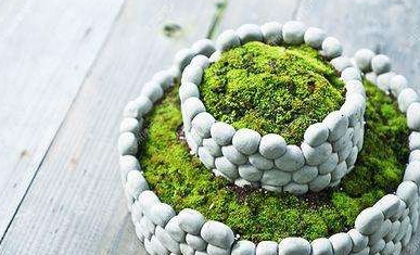 45石头也可以做成盆栽看起来堪称艺术品