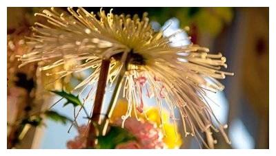 “很难征服”的3大星座女,思想独立有主见,一旦爱上余生都是你休闲区蓝鸢梦想 - Www.slyday.coM “很难征服”的3大星座女,思想独立有主见,一旦爱上余生都是你休闲区蓝鸢梦想 - Www.slyday.coM