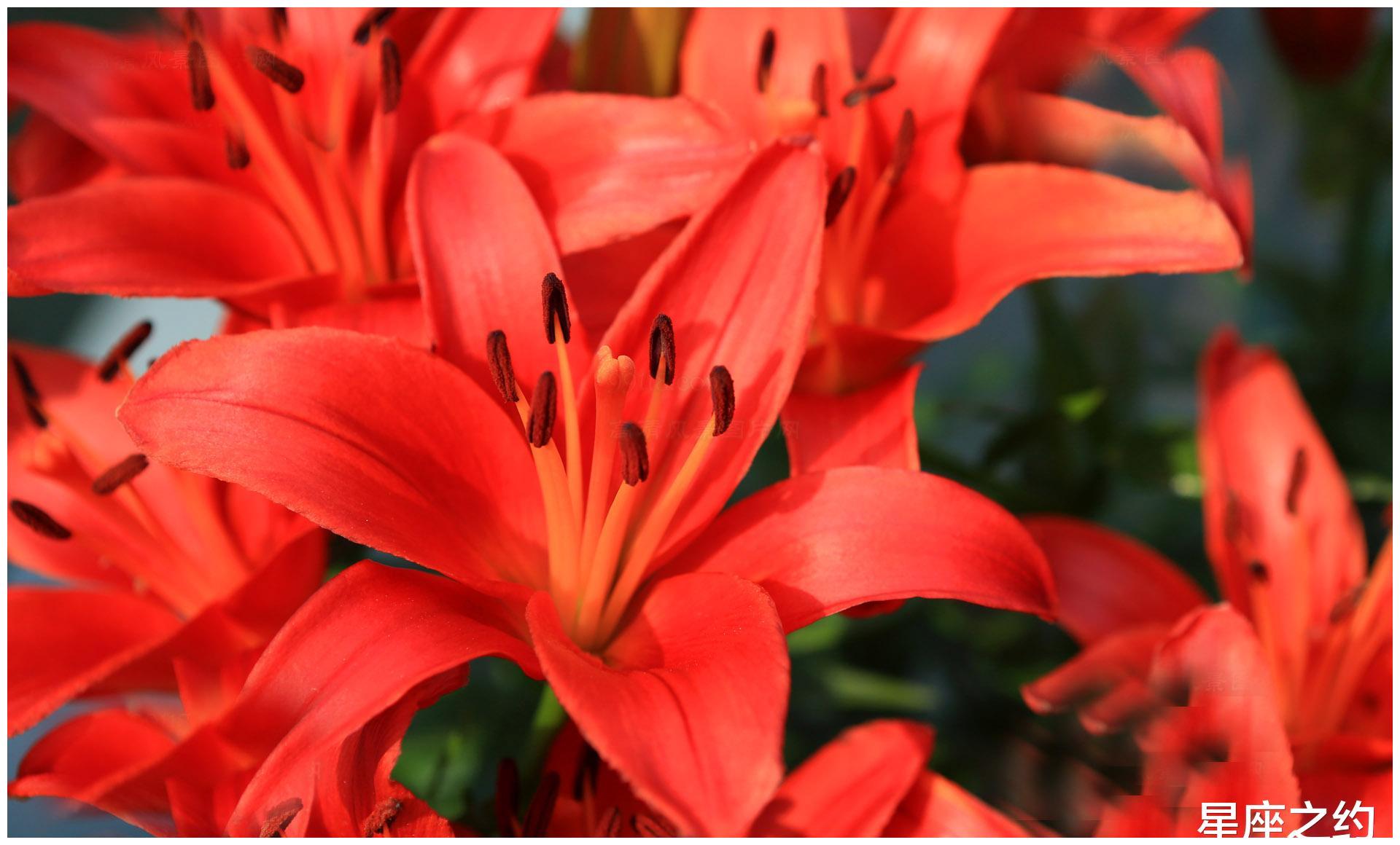 4月22日星座运势 和颜悦色 稳中求胜的四大星座 星座 运势 良缘 新浪新闻 4月22日星座运势 和颜悦色 稳中求胜的四大星座 星座 运势 良缘 新浪新闻